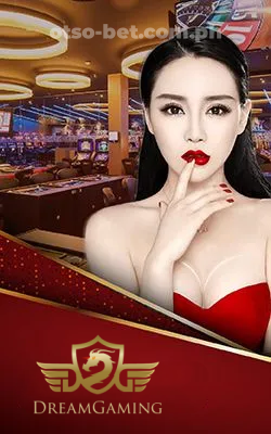 DG Casino​