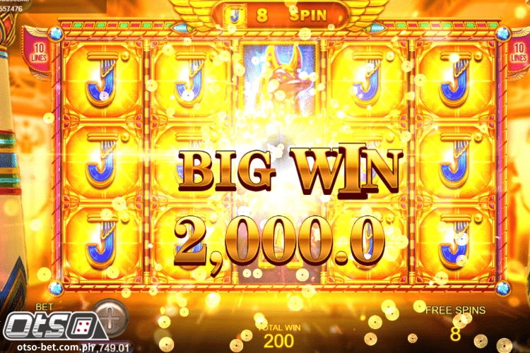 Book of Dead Slot Big Win